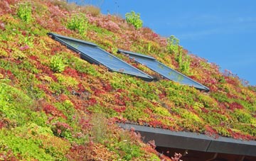 Felthamhill living roof systems